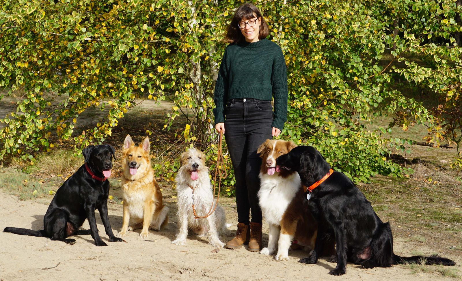 Laura Bäuml mit fünf Hunden im Wald